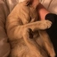 Cat Saved by Dogecoin