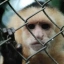 First Animal Under House Arrest